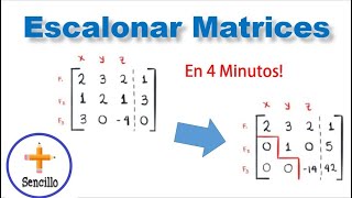 Operaciones elementales en matrices  Álgebra lineal [upl. by Luben]