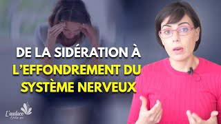 Les traumatismes de lenfance et la sidération prolongée P1  Le dérèglement du système nerveux [upl. by Haim]