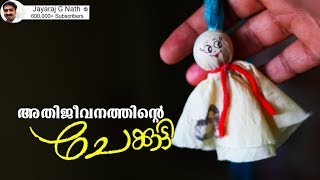 അതിജീവനത്തിന്റെ ചേക്കുട്ടി  Chekutty [upl. by Lindy397]