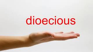 How to Pronounce dioecious  American English [upl. by Nevetse]