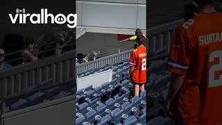 Raccoon Crashes Broncos Game  ViralHog [upl. by Olumor]