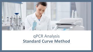 qPCR Analysis  Standard Curve Method [upl. by Oisangi]