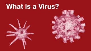 Virology  What is a virus [upl. by Kurzawa]