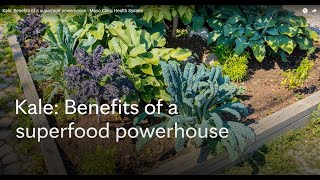 Kale Benefits of a superfood powerhouse  Mayo Clinic Health System [upl. by Neersan]