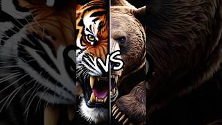 Bengal Tiger Vs Grizzly Bear Which is the Strongest [upl. by Enitnatsnoc]