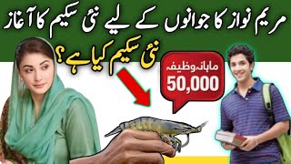 Maryam Nawazs Revolutionary Shrimp Farming Program  Apply Now for Paid Internship maryamnawaz [upl. by Ahseid483]