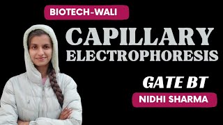 CAPILLARY ELECTROPHORESIS  Analytical TechniquesBIOTECHWALI iit [upl. by Suoicerpal]