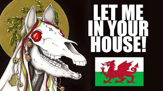 The CREEPY Welsh Christmas Tradition  The Mari Lwyd [upl. by Nowd77]