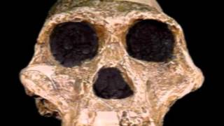 Creationist Lies About Lucy Revealed [upl. by Lauren]