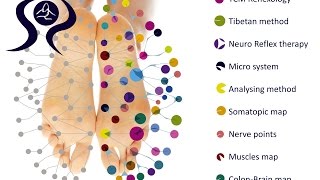 TCM Reflexology Lone Sorensen [upl. by Nil]