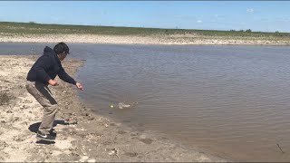 Pesca de tarariras tornasoles y laguneras en Pesca en agua dulce [upl. by Euqilegna]