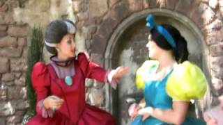 A Proposal for Cinderellas Wicked Stepsisters in Walt Disney World [upl. by Nylhsoj183]