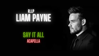 Liam Payne Say It All Acapella  Vocals Only [upl. by Adelina]