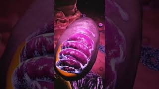 mitochondria 3D animation medical world [upl. by Rufina116]