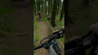 MTB Jump line [upl. by Annaik134]