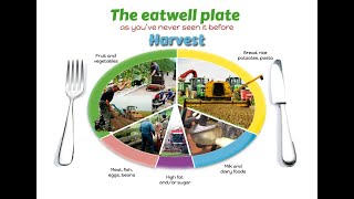 The Eat Well Plate and Food Provenance [upl. by Aneelad290]