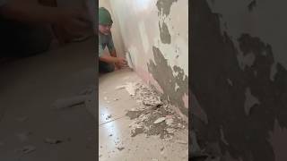 HOW TO REPAIR DAMP WALL shorts [upl. by Anatnas]