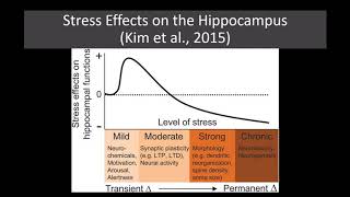 Lecture 29 Introduction to Depression [upl. by Yrbua]