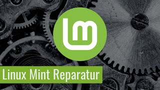 Linux Mint fährt nicht mehr hoch  ist kaputt So reparierst Du es Anfänger [upl. by Conrado346]