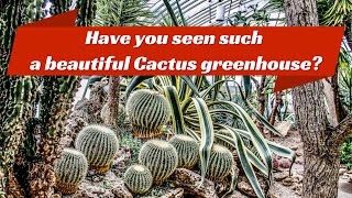 Unveiling The Enchanting World Of The Cactus Greenhouse [upl. by Nedap]