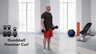 How to do a Dumbbell Hammer Curl [upl. by Enael999]