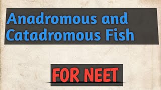 Anadromous and catadromous Fish Migratory Fishes NEET ZoologyCSIRNETLifeScience [upl. by Aivlys]