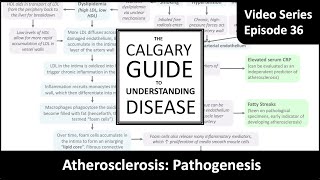 Atherosclerosis Pathogenesis [upl. by Morton]