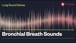 Bronchial Breath Sounds  EMTprepcom [upl. by Elleirua]