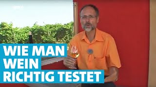 Werner erklärt Wein Richtig trinken und schmecken [upl. by Analim]