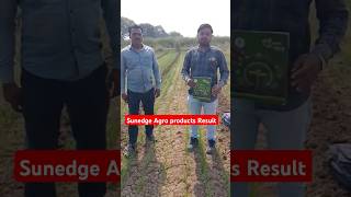 Sunedge Agro Product Result agriculture shortsfeeds [upl. by Kowatch]