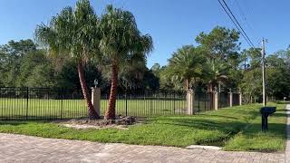 Entranceway Landscape Large Trees and Palms Planted palmtrees gardening palms garden [upl. by Kacerek]