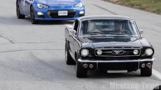 1966 Ford Mustang GT Fastback 289 HiPo [upl. by Doykos]