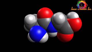 AlanilGlicina Molécula en 3D  Aminoácidos [upl. by Enna]