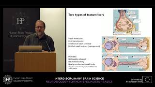 Lecture 1 Christoph Schwarzer  Intercellular signal transduction [upl. by Eardnaed730]