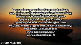 Bible words Malayalam  Morning meditation  Just a movement [upl. by Macri]