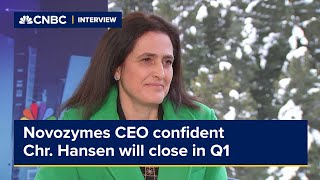 Novozymes CEO is confident its merger with Chr Hansen will close in Q1 [upl. by Relda]