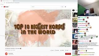 Forsen reacts to THE BIGGEST HORSES in the world [upl. by Deborath566]