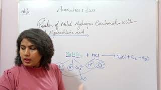 Action of Hydrochloric Acid on Metal Hydrogen Carbonate Metal Bicarbonate [upl. by Leland]