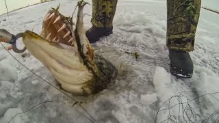 Lucky Fisherman Caught Something Incredible [upl. by Akisey]