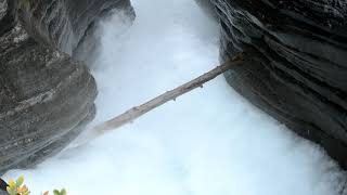 Mistaya Canyon Banff Narional Park hike walk [upl. by Tolmach981]