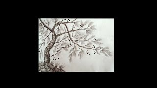 Tree drawing easy way tree pencil drawing  pencil art  282  Creation of Rangoli Arts Channel [upl. by Siraf]