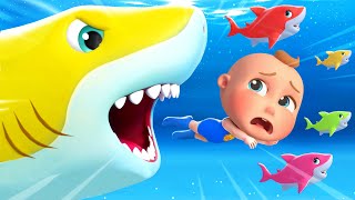 Baby Sharks Under Water  Baby Shark Doo Doo Dance  Bum Bum Kids Nursery Rhymes amp Kids Songs [upl. by Morten]