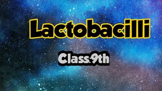 Lactobacilli  class 9 [upl. by Nazler]