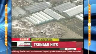 Japan earthquake eyewitness interview [upl. by Dore46]