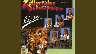 Zillertaler Hochzeitsmarsch [upl. by Ykceb688]