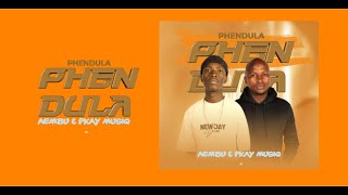 Pkay Musiq amp Aembu  Phendula Dlozi Feat DJ KAPLyrics [upl. by Daht979]