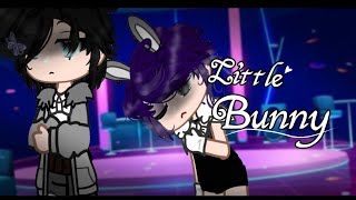 Little bunny🐇GayBLboy loveGCMMGacha club mini movie 15 [upl. by Blondelle]