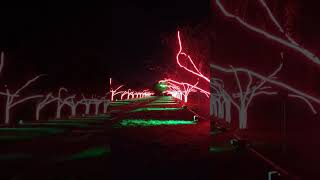 Kew Gardens  Christmas Light Show [upl. by Haven]