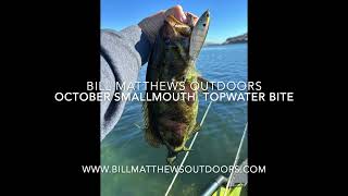 BMO October Columbia River Smallmouth Topwater Bite [upl. by Fawne]