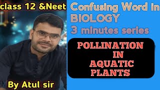 POLLINATION IN AQUATIC PLANTS [upl. by Malim]